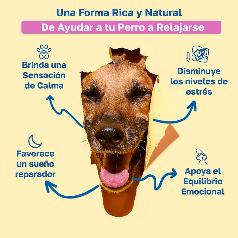 Beneficios de Happy Paws Calming