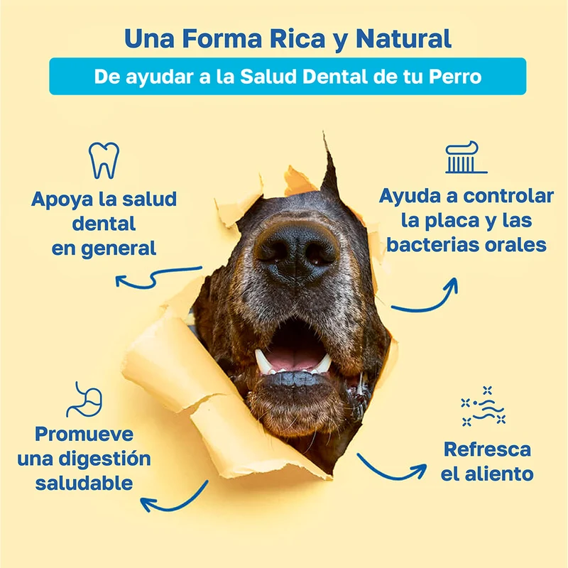 Beneficios de Happy Paws Dental