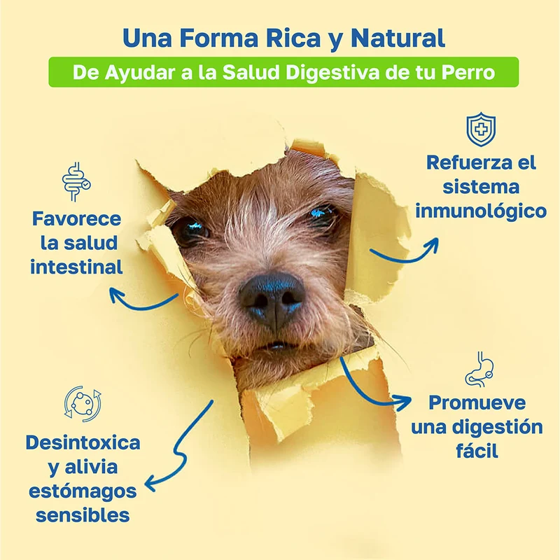 Beneficios de Happy Paws Digestive