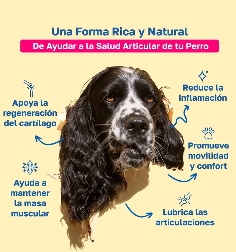Beneficios de Happy Paws Mobility