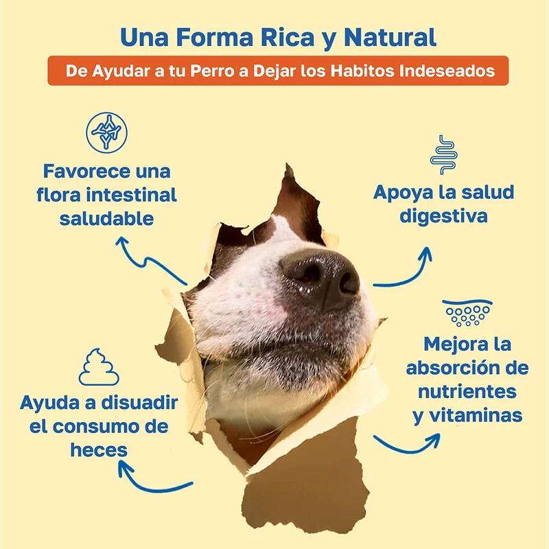 Beneficios de Happy Paws No Poo